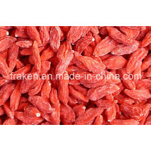 High Quality Dried Wolfberry / Goji Berries